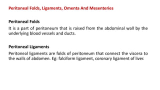 Peritoneal Folds, Ligaments, Omenta And Mesenteries
Peritoneal Folds
It is a part of peritoneum that is raised from the abdominal wall by the
underlying blood vessels and ducts.
Peritoneal Ligaments
Peritoneal ligaments are folds of peritoneum that connect the viscera to
the walls of abdomen. Eg: falciform ligament, coronary ligament of liver.
 