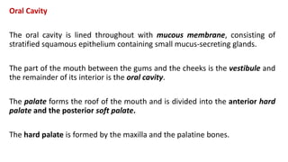 Oral Cavity
The oral cavity is lined throughout with mucous membrane, consisting of
stratified squamous epithelium containing small mucus-secreting glands.
The part of the mouth between the gums and the cheeks is the vestibule and
the remainder of its interior is the oral cavity.
The palate forms the roof of the mouth and is divided into the anterior hard
palate and the posterior soft palate.
The hard palate is formed by the maxilla and the palatine bones.
 