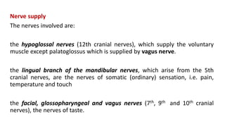 Nerve supply
The nerves involved are:
the hypoglossal nerves (12th cranial nerves), which supply the voluntary
muscle except palatoglossus which is supplied by vagus nerve.
the lingual branch of the mandibular nerves, which arise from the 5th
cranial nerves, are the nerves of somatic (ordinary) sensation, i.e. pain,
temperature and touch
the facial, glossopharyngeal and vagus nerves (7th, 9th and 10th cranial
nerves), the nerves of taste.
 