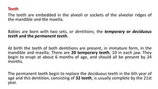 Teeth
The teeth are embedded in the alveoli or sockets of the alveolar ridges of
the mandible and the maxilla.
Babies are born with two sets, or dentitions, the temporary or deciduous
teeth and the permanent teeth.
At birth the teeth of both dentitions are present, in immature form, in the
mandible and maxilla. There are 20 temporary teeth, 10 in each jaw. They
begin to erupt at about 6 months of age, and should all be present by 24
months.
The permanent teeth begin to replace the deciduous teeth in the 6th year of
age and this dentition, consisting of 32 teeth, is usually complete by the 21st
year.
 