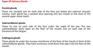 Types Of Salivary Glands
Parotid glands
These are situated one on each side of the face just below the external acoustic
meatus. Each gland has a parotid duct opening into the mouth at the level of the
second upper molar tooth.
Submandibular glands
These lie one on each side of the face under the angle of the jaw. The two
submandibular ducts open on the floor of the mouth, one on each side of the
frenulum of the tongue.
Sublingual glands
These glands lie under the mucous membrane of the floor of the mouth in front of the
submandibular glands. They have numerous small ducts that open into the floor of the
mouth.
 