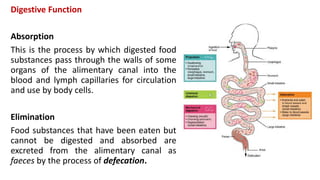 Digestive Function
Absorption
This is the process by which digested food
substances pass through the walls of some
organs of the alimentary canal into the
blood and lymph capillaries for circulation
and use by body cells.
Elimination
Food substances that have been eaten but
cannot be digested and absorbed are
excreted from the alimentary canal as
faeces by the process of defecation.
 