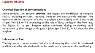 Functions Of Saliva
Chemical digestion of polysaccharides
Saliva contains the enzyme amylase that begins the breakdown of complex
sugars, including starches, reducing them to the disaccharide maltose. The
optimum pH for the action of salivary amylase is 6.8 (slightly acid). Salivary pH
ranges from 5.8 to 7.4 depending on the rate of flow; the higher the flow rate,
the higher is the pH. Enzyme action continues during swallowing until
terminated by the strongly acidic gastric juices (pH 1.5–1.8), which degrades the
amylase.
Lubrication of food
The high water content means that dry food entering the mouth is moistened
and lubricated by saliva before it can be made into a bolus ready for swallowing.
 