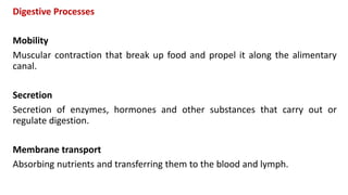 Digestive Processes
Mobility
Muscular contraction that break up food and propel it along the alimentary
canal.
Secretion
Secretion of enzymes, hormones and other substances that carry out or
regulate digestion.
Membrane transport
Absorbing nutrients and transferring them to the blood and lymph.
 