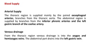 Blood Supply
Arterial Supply
The thoracic region is supplied mainly by the paired oesophageal
arteries, branches from the thoracic aorta. The abdominal region is
supplied by branches from the inferior phrenic arteries and the left
gastric branch of the coeliac artery.
Venous drainage
From the thoracic region venous drainage is into the azygos and
hemiazygos veins. The abdominal part drains into the left gastric vein.
 