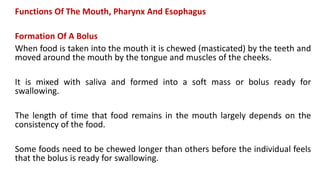 Functions Of The Mouth, Pharynx And Esophagus
Formation Of A Bolus
When food is taken into the mouth it is chewed (masticated) by the teeth and
moved around the mouth by the tongue and muscles of the cheeks.
It is mixed with saliva and formed into a soft mass or bolus ready for
swallowing.
The length of time that food remains in the mouth largely depends on the
consistency of the food.
Some foods need to be chewed longer than others before the individual feels
that the bolus is ready for swallowing.
 