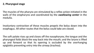 2. Pharyngeal stage
The muscles of the pharynx are stimulated by a reflex action initiated in the
walls of the oropharynx and coordinated by the swallowing center in the
medulla.
Involuntary contraction of these muscles propels the bolus down into the
esophagus. All other routes that the bolus could take are closed.
The soft palate rises up and closes off the nasopharynx; the tongue and the
pharyngeal folds block the way back into the mouth; and the larynx is lifted
up and forward so that its opening is occluded by the overhanging
epiglottis preventing entry into the airway (trachea).
 