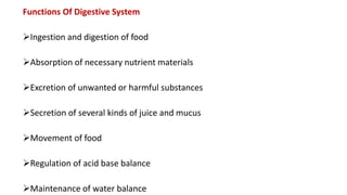 Functions Of Digestive System
Ingestion and digestion of food
Absorption of necessary nutrient materials
Excretion of unwanted or harmful substances
Secretion of several kinds of juice and mucus
Movement of food
Regulation of acid base balance
Maintenance of water balance
 