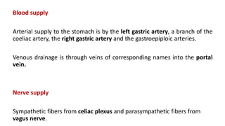 Blood supply
Arterial supply to the stomach is by the left gastric artery, a branch of the
coeliac artery, the right gastric artery and the gastroepiploic arteries.
Venous drainage is through veins of corresponding names into the portal
vein.
Nerve supply
Sympathetic fibers from celiac plexus and parasympathetic fibers from
vagus nerve.
 