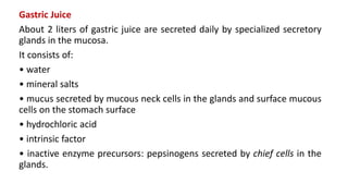 Gastric Juice
About 2 liters of gastric juice are secreted daily by specialized secretory
glands in the mucosa.
It consists of:
• water
• mineral salts
• mucus secreted by mucous neck cells in the glands and surface mucous
cells on the stomach surface
• hydrochloric acid
• intrinsic factor
• inactive enzyme precursors: pepsinogens secreted by chief cells in the
glands.
 