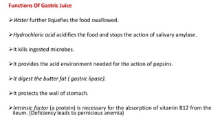 Functions Of Gastric Juice
Water further liquefies the food swallowed.
Hydrochloric acid acidifies the food and stops the action of salivary amylase.
It kills ingested microbes.
It provides the acid environment needed for the action of pepsins.
It digest the butter fat ( gastric lipase).
It protects the wall of stomach.
Intrinsic factor (a protein) is necessary for the absorption of vitamin B12 from the
ileum. (Deficiency leads to pernicious anemia)
 