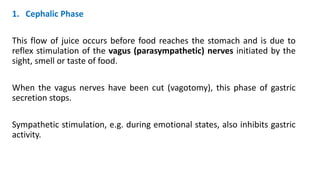 1. Cephalic Phase
This flow of juice occurs before food reaches the stomach and is due to
reflex stimulation of the vagus (parasympathetic) nerves initiated by the
sight, smell or taste of food.
When the vagus nerves have been cut (vagotomy), this phase of gastric
secretion stops.
Sympathetic stimulation, e.g. during emotional states, also inhibits gastric
activity.
 