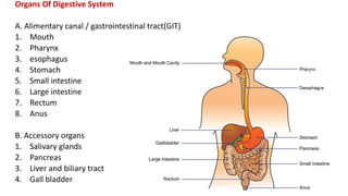Organs Of Digestive System
A. Alimentary canal / gastrointestinal tract(GIT)
1. Mouth
2. Pharynx
3. esophagus
4. Stomach
5. Small intestine
6. Large intestine
7. Rectum
8. Anus
B. Accessory organs
1. Salivary glands
2. Pancreas
3. Liver and biliary tract
4. Gall bladder
 