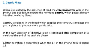 2. Gastric Phase
When stimulated by the presence of food the enteroendocrine cells in the
pylorus and duodenum secrete the hormone gastrin, which passes directly
into the circulating blood.
Gastrin, circulating in the blood which supplies the stomach, stimulates the
gastric glands to produce more gastric juice.
In this way secretion of digestive juice is continued after completion of a
meal and the end of the cephalic phase.
Gastrin secretion is suppressed when the pH in the pylorus falls to about
1.5.
 