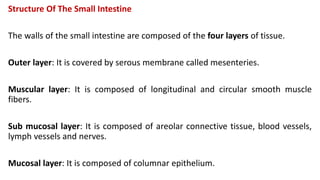 Structure Of The Small Intestine
The walls of the small intestine are composed of the four layers of tissue.
Outer layer: It is covered by serous membrane called mesenteries.
Muscular layer: It is composed of longitudinal and circular smooth muscle
fibers.
Sub mucosal layer: It is composed of areolar connective tissue, blood vessels,
lymph vessels and nerves.
Mucosal layer: It is composed of columnar epithelium.
 