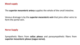 Blood supply
The superior mesenteric artery supplies the whole of the small intestine.
Venous drainage is by the superior mesenteric vein that joins other veins to
form the portal vein.
Nerve Supply
Sympathetic fibers from celiac plexus and parasympathetic fibers from
superior mesenteric plexus (vagus nerve).
 