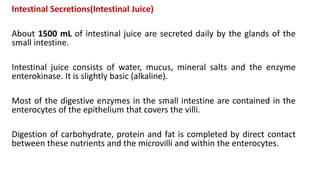 Intestinal Secretions(Intestinal Juice)
About 1500 mL of intestinal juice are secreted daily by the glands of the
small intestine.
Intestinal juice consists of water, mucus, mineral salts and the enzyme
enterokinase. It is slightly basic (alkaline).
Most of the digestive enzymes in the small intestine are contained in the
enterocytes of the epithelium that covers the villi.
Digestion of carbohydrate, protein and fat is completed by direct contact
between these nutrients and the microvilli and within the enterocytes.
 
