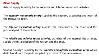 Blood Supply
Arterial supply is mainly by the superior and inferior mesenteric arteries.
The superior mesenteric artery supplies the caecum, ascending and most of
the transverse colon.
The inferior mesenteric artery supplies the remainder of the colon and the
proximal part of the rectum.
The middle and inferior rectal arteries, branches of the internal iliac arteries,
supply the distal section of the rectum and the anus.
Venous drainage is mainly by the superior and inferior mesenteric veins which
drain blood from the parts supplied by arteries of the same names.
 