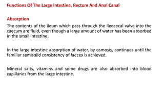 Functions Of The Large Intestine, Rectum And Anal Canal
Absorption
The contents of the ileum which pass through the ileocecal valve into the
caecum are fluid, even though a large amount of water has been absorbed
in the small intestine.
In the large intestine absorption of water, by osmosis, continues until the
familiar semisolid consistency of faeces is achieved.
Mineral salts, vitamins and some drugs are also absorbed into blood
capillaries from the large intestine.
 