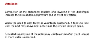 Defecation
Contraction of the abdominal muscles and lowering of the diaphragm
increase the intra-abdominal pressure and so assist defecation.
When the need to pass faeces is voluntarily postponed, it tends to fade
until the next mass movement occurs and the reflex is initiated again.
Repeated suppression of the reflex may lead to constipation (hard faeces)
as more water is absorbed.
 