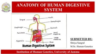 ANATOMY OF HUMAN DIGESTIVE
SYSTEM
SUBMITTED BY:
Shriya Sangral
M.Sc. Human Genetics
Institution of Human Genetics, University of Jammu
 