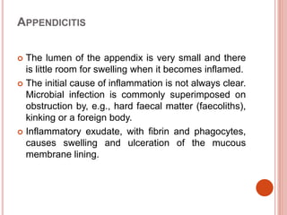 Digestive system | PPTX