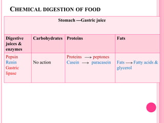 CHEMICAL DIGESTION OF FOOD
Stomach ---Gastric juice
Digestive
juices &
enzymes
Carbohydrates Proteins Fats
Pepsin
Renin
Gastric
lipase
No action
Proteins peptones
Casein paracasein Fats Fatty acids &
glycerol
 