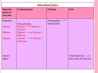 Intestinal juice
Digestive
juices &
enzymes
Carbohydrates Proteins Fats
Peptidase
Sucrase
Maltase
Lactase
Enteric
lipase
Disaccharides
Sucrose Glucose +
Fructose
Maltose Glucose +
Glucose
Lactose Glucose +
Galactose
Polypeptides
amino acids
Emulsified fats
fatty acids & Glycerol
 