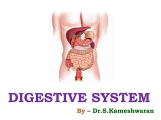 DIGESTIVE SYSTEM
By – Dr.S.Kameshwaran
 