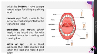 Jens
Martensson
chisel-like incisors – have straight
narrow edges for biting ang slicing
food.
canines (eye teeth) – near to the
incisors are tall and pointed to the
tear and rip food.
premolars and molars (cheek
teeth) – are broad and flat with
rounded humps for crushing and
chewing food.
saliva or spit – is a liquid
substance that helps moisten and
soften the food and make it even
pulpy.
 