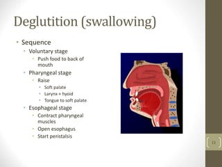 Deglutition (swallowing)
• Sequence
• Voluntary stage
• Push food to back of
mouth
• Pharyngeal stage
• Raise
• Soft palate
• Larynx + hyoid
• Tongue to soft palate
• Esophageal stage
• Contract pharyngeal
muscles
• Open esophagus
• Start peristalsis
11
 