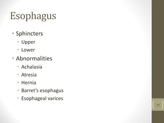 Esophagus
• Sphincters
• Upper
• Lower
• Abnormalities
• Achalasia
• Atresia
• Hernia
• Barret’s esophagus
• Esophageal varices
15
 