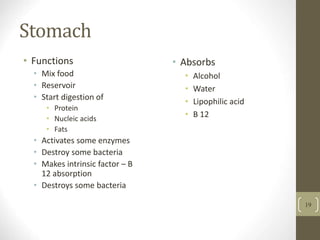 Stomach
• Functions
• Mix food
• Reservoir
• Start digestion of
• Protein
• Nucleic acids
• Fats
• Activates some enzymes
• Destroy some bacteria
• Makes intrinsic factor – B
12 absorption
• Destroys some bacteria
• Absorbs
• Alcohol
• Water
• Lipophilic acid
• B 12
19
 