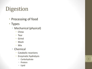 Digestion
• Processing of food
• Types
• Mechanical (physical)
• Chew
• Tear
• Grind
• Mash
• Mix
• Chemical
• Catabolic reactions
• Enzymatic hydrolysis
• Carbohydrate
• Protein
• Lipid
3
 