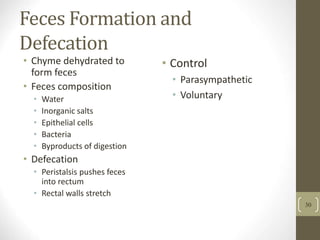 Feces Formation and
Defecation
• Chyme dehydrated to
form feces
• Feces composition
• Water
• Inorganic salts
• Epithelial cells
• Bacteria
• Byproducts of digestion
• Defecation
• Peristalsis pushes feces
into rectum
• Rectal walls stretch
• Control
• Parasympathetic
• Voluntary
30
 