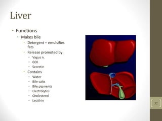 Liver
• Functions
• Makes bile
• Detergent – emulsifies
fats
• Release promoted by:
• Vagus n.
• CCK
• Secretin
• Contains
• Water
• Bile salts
• Bile pigments
• Electrolytes
• Cholesterol
• Lecithin
32
 