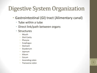 Digestive System Organization
• Gastrointestinal (Gl) tract (Alimentary canal)
• Tube within a tube
• Direct link/path between organs
• Structures
• Mouth
• Oral Cavity
• Pharynx
• Esophagus
• Stomach
• Duedenum
• Jejenum
• kIleum
• Cecum
• Ascending colon
• Transverse colon 5
 