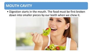 MOUTH CAVITY
• Digestion starts in the mouth. The food must be first broken
down into smaller pieces by our teeth when we chew it.
 