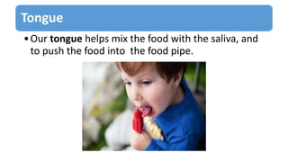 Tongue
•Our tongue helps mix the food with the saliva, and
to push the food into the food pipe.
 