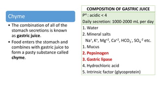 Chyme
• The combination of all of the
stomach secretions is known
as gastric juice.
• Food enters the stomach and
combines with gastric juice to
form a pasty substance called
chyme.
COMPOSITION OF GASTRIC JUICE
PH : acidic < 4
Daily secretion: 1000-2000 mL per day
1. Water
2. Mineral salts
Na+,K+, Mg+2, Ca+2, HCO3
-, SO4
-2 etc.
1. Mucus
2. Pepsinogen
3. Gastric lipase
4. Hydrochloric acid
5. Intrinsic factor (glycoprotein)
 