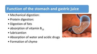 Function of the stomach and gastric juice
• Mechanical digestion:
• Protein digestion:
• Digestion of fats
• absorption of vitamin B12
• lubricantion
• Absorption of water and acidic drugs
• Formation of chyme
 