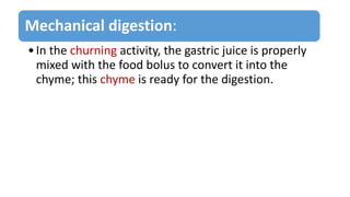 Mechanical digestion:
•In the churning activity, the gastric juice is properly
mixed with the food bolus to convert it into the
chyme; this chyme is ready for the digestion.
 