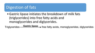 Digestion of fats
•Gastric lipase initiates the breakdown of milk fats
(triglycerides) into free fatty acids and
monoglycerides and diglycerides.
Triglycerides Gastric lipase free fatty acids, monoglycerides, diglycerides
 