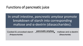 Functions of pancreatic juice
In small intestine, pancreatic amylase promote
breakdown of starch into corresponding
maltose and α-dextrin (diasaccharides).
Cooked & uncooked starch pancreatic amylase maltose and α-dextrin
(Polysaccharide) (Disaccharide)
 