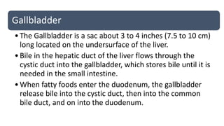 Gallbladder
•The Gallbladder is a sac about 3 to 4 inches (7.5 to 10 cm)
long located on the undersurface of the liver.
•Bile in the hepatic duct of the liver flows through the
cystic duct into the gallbladder, which stores bile until it is
needed in the small intestine.
•When fatty foods enter the duodenum, the gallbladder
release bile into the cystic duct, then into the common
bile duct, and on into the duodenum.
 