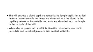• The villi enclose a blood capillary network and lymph capillaries called
lacteals. Water-soluble nutrients are absorbed into the blood in the
capillary networks. Fat-soluble nutrients are absorbed into the lymph
in the lacteals of the villi.
• When chyme passes into small intestine it is mixed with pancreatic
juice, bile and intestinal juice and is in contact with villi.
 
