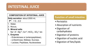 INTESTINAL JUICE
COMPOSITION OF INTESTINAL JUICE
Daily secretion: about 2000 mL
PH : 7.8 – 8.0
1. Water,
2. Mucus,
3. Mineral salts
Na+, K+, Mg+2, Ca+2, HCO3
-, SO4
-2 etc
1. Enzymes
- Enterokinase or (enteropeptidase),
- α-Dextrinase, Maltase, Sucrase,
- Lactase, Peptidase, Nucleosidase
Function of small intestine
• Peristalsis
• Absorption of nutrients
• Digestion of
carbohydrates
• Digestion of proteins
• Digestion of nucleic acid
• Digestion of fats/lipids
 