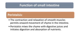 Function of small intestine
Peristalsis:
• The contraction and relaxation of smooth muscles
permits onward movement of chyme in the intestine.
• Peristalsis mixes the chyme with digestive juices and
initiates digestion and absorption of nutrients.
 
