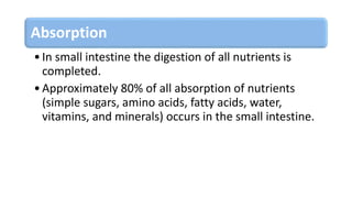 Absorption
•In small intestine the digestion of all nutrients is
completed.
•Approximately 80% of all absorption of nutrients
(simple sugars, amino acids, fatty acids, water,
vitamins, and minerals) occurs in the small intestine.
 