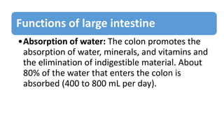 Functions of large intestine
•Absorption of water: The colon promotes the
absorption of water, minerals, and vitamins and
the elimination of indigestible material. About
80% of the water that enters the colon is
absorbed (400 to 800 mL per day).
 